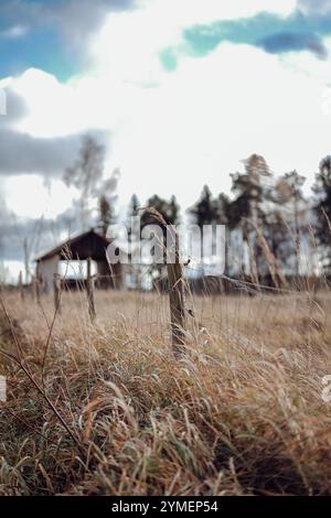 Une scène rurale sereine représentant un chemin à travers de hautes herbes sèches menant à une grange en bois vieillie, sur fond d'un ciel sombre et nuageux Banque D'Images