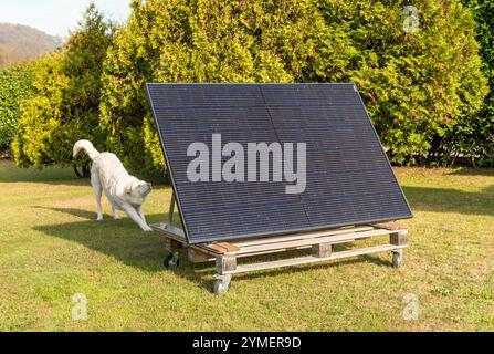 Un panneau photovoltaïque sur une palette en bois dans un jardin de la maison. Concept d'énergie verte. Banque D'Images