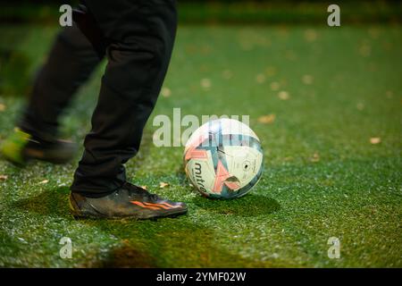 Un ballon de football est sur l'herbe, et une personne lui donne un coup de pied. Concept d'action et d'excitation, car la personne est activement engagée dans le jeu Banque D'Images