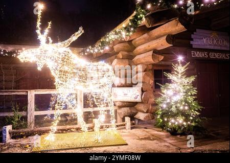 Hanovre, Allemagne. 21 novembre 2024. Une installation lumineuse en forme de wapiti, prise dans le 'Christmas Garden Hannover'. Un chemin circulaire de près de deux kilomètres de long est décoré de nombreuses illuminations au zoo d'aventure de Hannover. Crédit : Alicia Windzio/dpa/Alamy Live News Banque D'Images