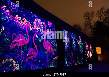 Hanovre, Allemagne. 21 novembre 2024. Des flamants roses peuvent être vus sur un mur illuminé dans le 'jardin de Noël de Hanovre'. Un chemin circulaire de près de deux kilomètres de long est décoré de nombreuses illuminations au zoo d'aventure de Hannover. Crédit : Alicia Windzio/dpa/Alamy Live News Banque D'Images