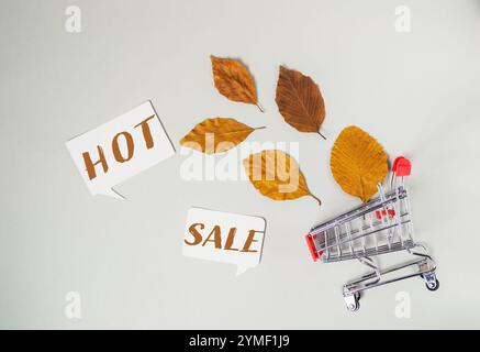 Panier avec des feuilles sur elle et les mots vente chaude écrits en dessous. Les feuilles et le chariot sont disposés de manière à créer une sensation de mouvement et Banque D'Images