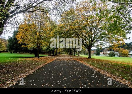 Feuillage d'automne coloré dans cette scène d'Islandvridge à Dblin, Irlande. Banque D'Images