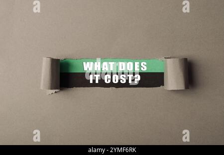 Morceau de papier déchiré avec les mots qu'est-ce que ça coûte écrit dessus. L'image a une ambiance de confusion et d'incertitude Banque D'Images