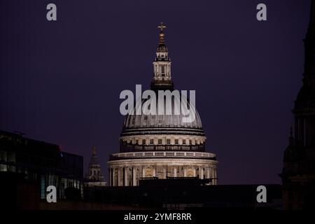 La vue depuis le Ned Hotel à Londres sur St Pauls, l'hôtel de ville et divers monuments emblématiques de londres, y compris le Shard. Plus tard après-midi d'hiver dans l'obscurité Banque D'Images