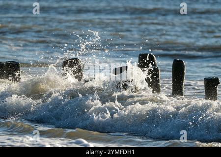 Vagues océaniques dynamiques qui s'écrasent contre des poteaux en bois altérés, créant un jet de gouttelettes d'eau sous la lumière naturelle du soleil. Banque D'Images