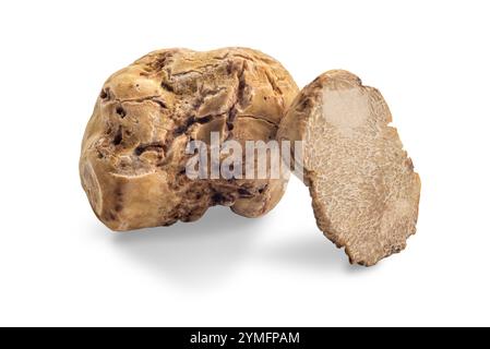 Truffe blanche Alba entière à côté d'une truffe coupée isolée sur blanc avec chemin de découpage inclus Banque D'Images