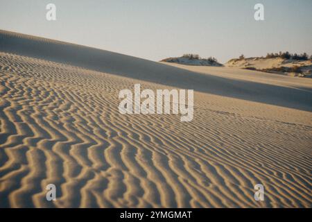 Dans le vaste paysage naturel, il y a une dune de sable proéminente accompagnée d'une colline gracieusement située en arrière-plan Banque D'Images