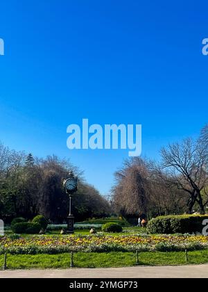 Beau printemps à Bucarest Banque D'Images