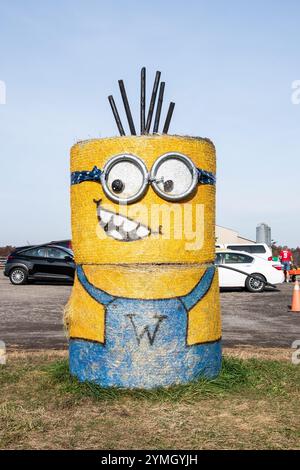 Hay Minions au Warner Ranch et à la ferme de citrouilles sur Schisler Road à Niagara Falls, Ontario, Canada Banque D'Images