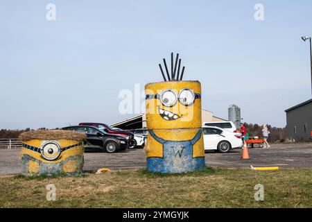 Hay Minions au Warner Ranch et à la ferme de citrouilles sur Schisler Road à Niagara Falls, Ontario, Canada Banque D'Images