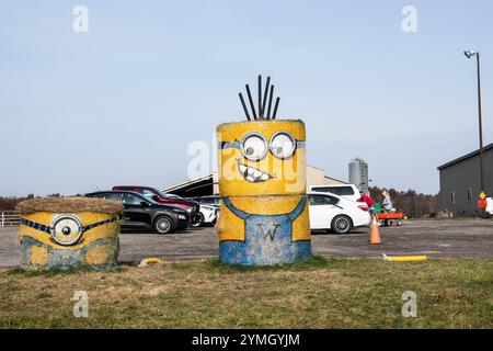 Hay Minions au Warner Ranch et à la ferme de citrouilles sur Schisler Road à Niagara Falls, Ontario, Canada Banque D'Images