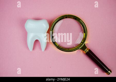 Loupe avec modèle de dent blanche Dental Health concept Banque D'Images