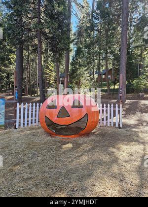 Citrouille sculptée géante à Apple Hill, en Californie, utilisée comme lieu de photo festif lors de la célébration des moissons. Banque D'Images