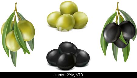 jeu d'icônes vectorielles réaliste. Olives entières fraîches et olives sur la branche. Olives vertes et olives noires. Illustration de Vecteur