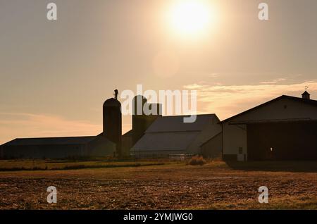 Steward, Illinois, États-Unis. Assortiment de banrs, hangars et silos se prélasser en fin d'après-midi, soleil d'automne sur une grande ferme dans le centre-nord de l'Illinois. Banque D'Images