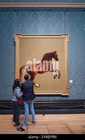 Londres, Royaume-Uni - 22 septembre 2024, National Gallery of Art, Whistlejacket de George Stubbs, peinture du XVIIIe siècle d'un cheval de course préféré d'un noble Banque D'Images