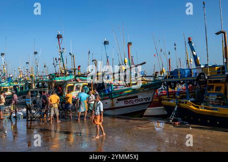 Sri Lanka, Province du Sud, Sud, Süden, Sud, Mirissa, ville, Staadt, ville, ville, port, Hafen, port, pêcheur, Pêcheurs, bateau, Schiff, bateau, chauve-souris Banque D'Images