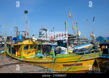 Sri Lanka, Province du Sud, Sud, Süden, Sud, Mirissa, ville, Staadt, ville, ville, port, Hafen, port, pêcheur, Pêcheurs, bateau, Schiff, bateau, chauve-souris Banque D'Images