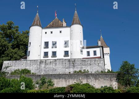 Suisse, Schweiz, Suisse, Vaud, Waadt, canton de Vaud, Kanton Waadt, Nyon, ville, Stadt, ville, ville, vielle ville, Altstadt, Oldtown, Château, Sch Banque D'Images