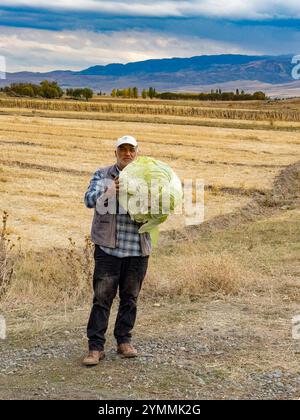 Agriculteur présentant fièrement un chou massif dans un champ récolté, avec des montagnes et un ciel nuageux en arrière-plan Banque D'Images