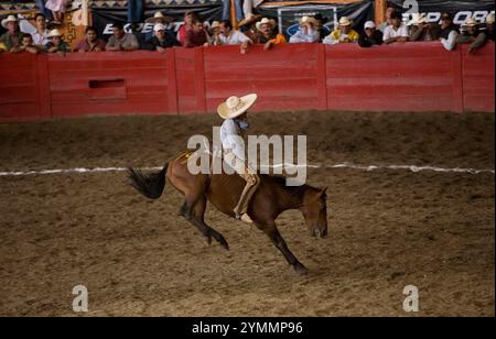 Un Charro mexicain monte un cheval sauvage dans une charreria à Mexico Banque D'Images