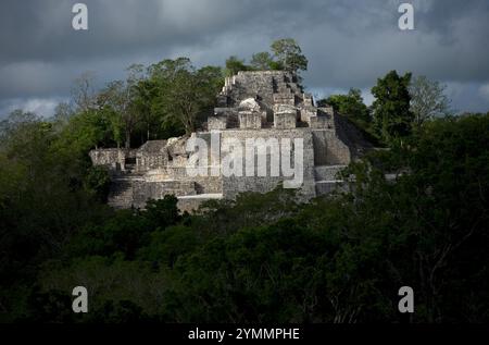 Structure II parmi les ruines mayas de Calakmul dans l'État de Campeche sur la péninsule mexicaine du Yucatan, 10 juin 2009. La structure est l'une des plus grandes pré Banque D'Images