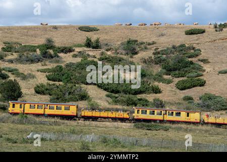 Le train jaune près du col de Rigat (sud de la France) *** local légende *** Banque D'Images