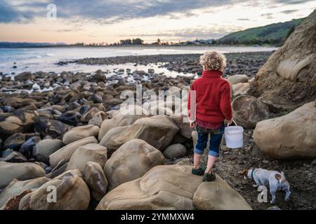 Enfant aux cheveux bouclés et chien explorant la côte rocheuse Banque D'Images