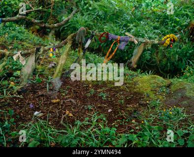 Nuages et autres offrandes sur une branche d'épine balançant au-dessus du ruisseau courant S de St Euny Holy Well, Chapel Euny, Sancreed, Cornouailles, Angleterre, ROYAUME-UNI. Banque D'Images