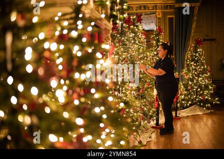 Chef de la fête, Val Goldman, met la touche finale aux arbres de Noël dans la bibliothèque du château de Warwick. Une équipe de 35 experts en histoire, costumes et paysages passe 750 heures à planifier et quatre semaines à installer des lumières, des décorations et des arbres avant la saison des fêtes. Il faut 100 heures pour décorer l'intérieur du château, et encore 40 heures dans le parc pour accrocher environ 50 000 lumières de Noël, décorer 30 arbres de Noël autour et poser la traînée lumineuse de 1 680 mètres. Date de la photo : vendredi 22 novembre 2024. Banque D'Images