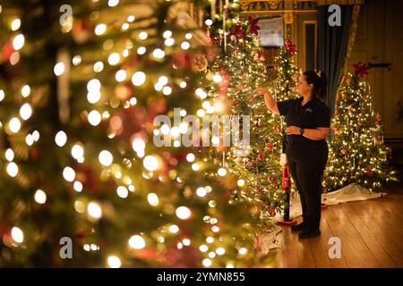 Chef de la fête, Val Goldman, met la touche finale aux arbres de Noël dans la bibliothèque du château de Warwick. Une équipe de 35 experts en histoire, costumes et paysages passe 750 heures à planifier et quatre semaines à installer des lumières, des décorations et des arbres avant la saison des fêtes. Il faut 100 heures pour décorer l'intérieur du château, et encore 40 heures dans le parc pour accrocher environ 50 000 lumières de Noël, décorer 30 arbres de Noël autour et poser la traînée lumineuse de 1 680 mètres. Date de la photo : vendredi 22 novembre 2024. Banque D'Images