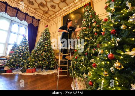 Val Goldman, chef de la fête, met la touche finale aux arbres de Noël dans la salle à manger de l'État du château de Warwick. Une équipe de 35 experts en histoire, costumes et paysages passe 750 heures à planifier et quatre semaines à installer des lumières, des décorations et des arbres avant la saison des fêtes. Il faut 100 heures pour décorer l'intérieur du château, et encore 40 heures dans le parc pour accrocher environ 50 000 lumières de Noël, décorer 30 arbres de Noël autour et poser la traînée lumineuse de 1 680 mètres. Date de la photo : vendredi 22 novembre 2024. Banque D'Images