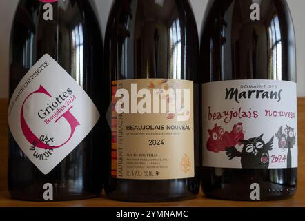 Londres, Royaume-Uni. 22 novembre 2024. Le premier assortiment Beaujolais Nouveau 2024 arrive au Royaume-Uni directement depuis la France. Le vin rouge jeune et léger, issu du cépage Gamay, est traditionnellement libéré le troisième jeudi de novembre, cette année le jeudi 21. Crédit : Malcolm Park/Alamy Live News Banque D'Images