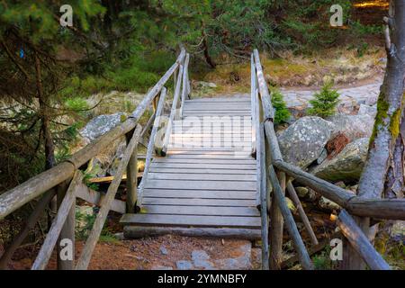 Un pont en bois avec des balustrades au-dessus d'un ruisseau dans la forêt. Le chemin est pavé de pierre. Banque D'Images