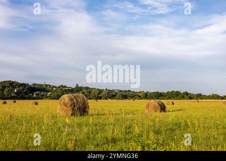 Balles de paille en rouleaux sur un champ près d'un village sur fond de beaux nuages. Récolte à la campagne. Banque D'Images