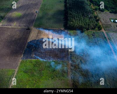 Vue aérienne d'agriculteurs brûlant des résidus de maïs après la récolte. Feu de champ de maïs après la récolte. Banque D'Images