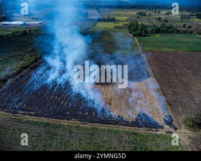 Vue aérienne d'agriculteurs brûlant des résidus de maïs après la récolte. Feu de champ de maïs après la récolte. Banque D'Images