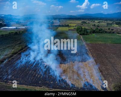 Vue aérienne d'agriculteurs brûlant des résidus de maïs après la récolte. Feu de champ de maïs après la récolte. Banque D'Images