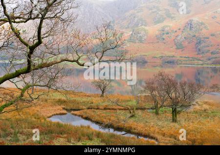 Belle vue panoramique de Buttermere dans le parc national de Lake District, Cumbria, Royaume-Uni, montrant les couleurs d'automne dans la campagne environnante Banque D'Images