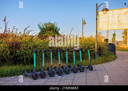 Scooters électriques debout dans une rangée dans un parking dans un lieu public sur fond de beaux buissons. Banque D'Images