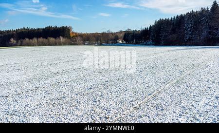 Bavière, Allemagne - 22 novembre 2024 : vue aérienne d'un champ agricole enneigé entouré de forêt *** Luftaufnahme eines schneebedeckten landwirtschaftlichen Feldes, umgeben von Wald Banque D'Images