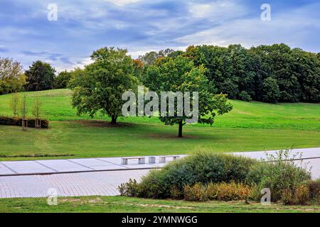 Un beau parc de la ville avec des buissons et des arbres. Le chemin traverse la pelouse. Banque D'Images
