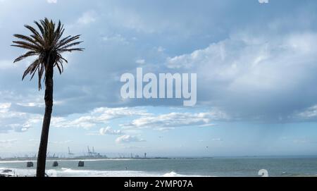 Palmier sur la côte, grues portuaires Port Elizabeth Afrique du Sud, vagues de l'océan Indien et fond de ciel bleu nuageux. Banque D'Images
