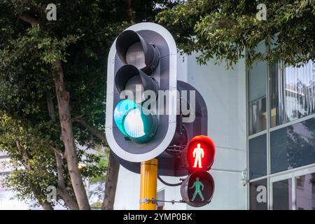 Feu vert pour les voitures et feux de circulation pour les piétons au centre-ville. Immeubles de bureaux et arbres de fond Banque D'Images