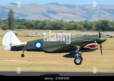 Curtiss P-40 Warhawk à ailes au-dessus de l'Aérodrome de capot, airshow Wairarapa, Masterton, Nouvelle-Zélande. Les dessins de nez, bouche requin artwork. Dents Banque D'Images