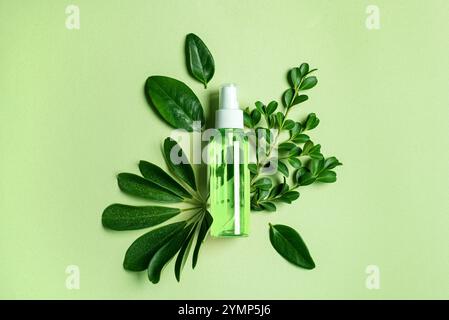 Flacon pulvérisateur, produit cosmétique pour le corps sur des feuilles vertes sur fond vert. Style de vie durable, concept de traitement de salon de spa de beauté, bio à base de plantes o Banque D'Images
