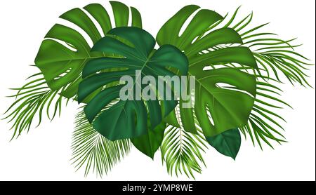 Composition tropicale estivale avec diverses feuilles de palmier vertes. Conception de plantes vectorielles pour feuillet, bannière, impression Illustration de Vecteur