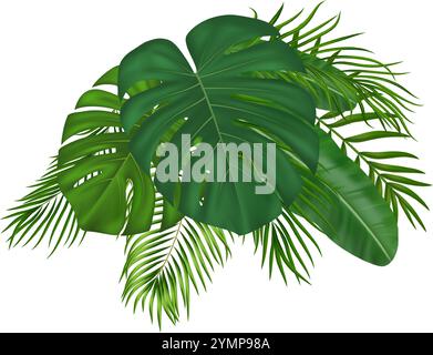 Composition créative de feuilles de palmier tropical. Grand élément de conception pour les médias sociaux, cartes postales, impression Illustration de Vecteur