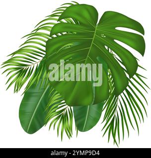 Composition tropicale de feuilles de palmier vert réaliste. Pour la conception tropicale d'été avec diverses feuilles vertes. Illustration vectorielle Illustration de Vecteur